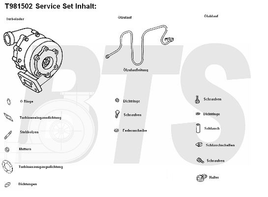 BTS TURBO Компрессор, наддув T981502